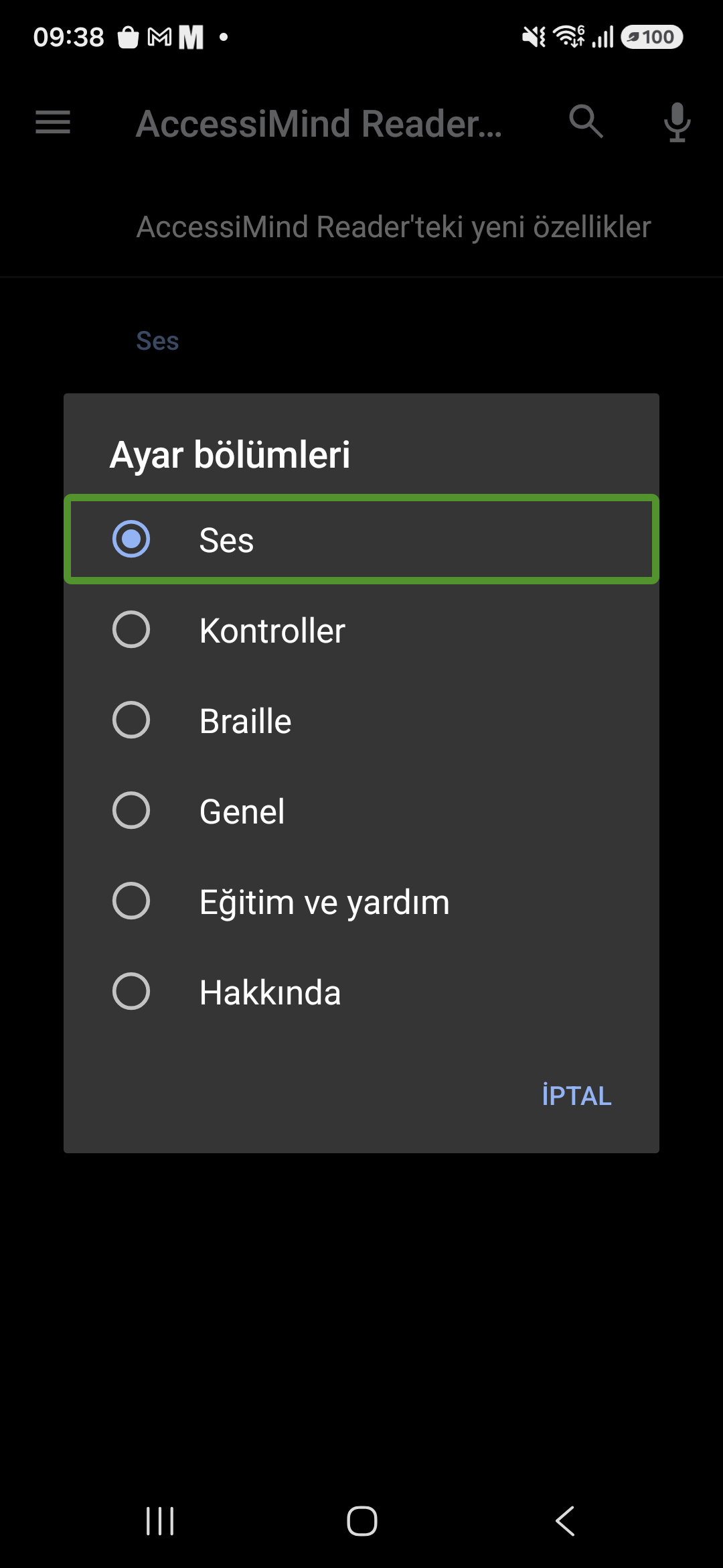 AccessiMind Reader settings sections dialog in Turkish